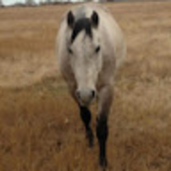 Meet your Posher, Taeha - Picture 1 of 1